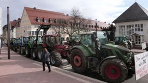 Rund 20 Traktoren standen am Sonntag während der SPD-Veranstaltung  in der Stuttgarter Straße. Foto: Beyer