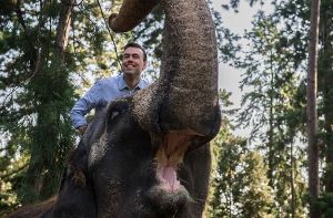 Auf der betagten Elefantendame Zella hat Nils Schmid am Samstag einen Ritt durch die Wilhelma machen dürfen. Pfleger reiten immer mal wieder auf dem Dickhäuter, Besuchern ist das normalerweise nicht möglich. Foto: dpa
