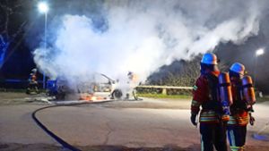 Auto geht in Steinach in Flammen auf