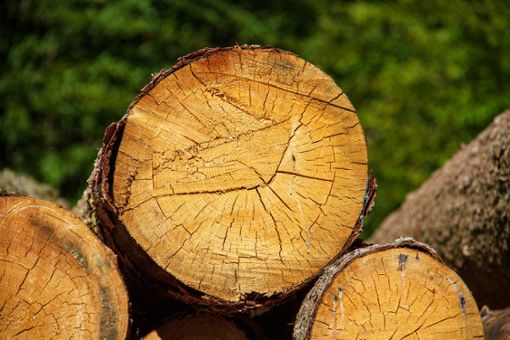 Beim Holzverkauf scheint Rottweil nicht gut da zu stehen.  Foto: pixabay Foto: Schwarzwälder Bote