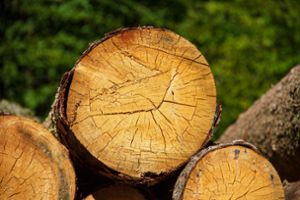 Beim Holzverkauf scheint Rottweil nicht gut da zu stehen.  Foto: pixabay Foto: Schwarzwälder Bote