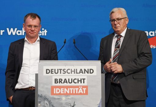 Beim 14. Landesparteitag der AfD Baden-Württemberg stehen die beiden Landesvorsitzenden Dirk Spaniel (l) und Bernd Gögel nebeneinander. Foto: dpa