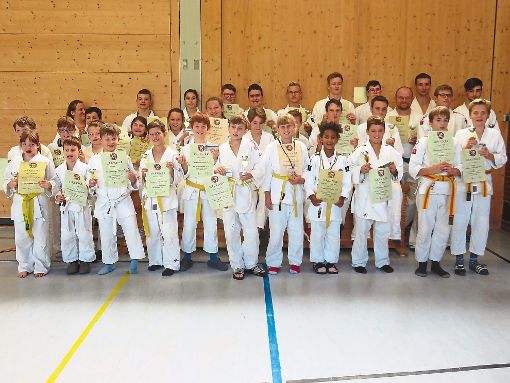 Die jungen Kampfsportler mit ihren Urkunden.  Foto: Verein