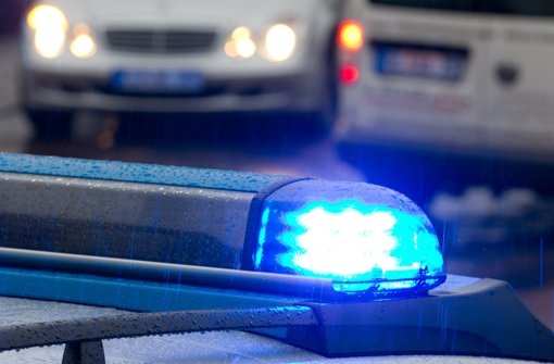 Eine 26-Jährige und ein 35-Jähriger sollen in Stuttgart-Hedelfingen unter anderem zehn Flaschen Alkoholika gestohlen haben. Foto: dpa / Symbolbild