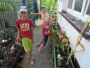 Auch die Jüngsten  Linus (von links), Jonas und  Emilia  pflegen begeistert ihr Hochbeet und wollen es unbedingt den Juroren zeigen. Foto: Schwarzwälder Bote