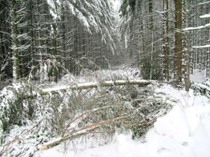 Niedergestreckt von weißer Pracht: Für Spaziergänger kann Schneebruch im Wald lebensgefährlich werden.   Foto: Rapthel-Kieser/Schmidt