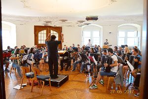 Zwei Akkordeon-Orchester geben in Kürze ein nicht alltägliches Konzert in der Nagolder Stadtkirche Foto: Veranstalter Foto: Schwarzwälder-Bote