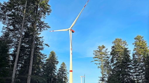 Im April soll der Windpark Langenbrander Höhe/Hirschgarten in Betrieb gehen. Foto: BayWa r.e.