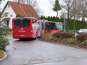 Ist der Bus für Zepfenhan und Neukirch schon wieder abgefahren. Die Grünen-Fraktion im Gemeinderat setzen sich für einen Schnellbus zwischen Rottweil und Balingen ein. Foto: Archiv: Schulz