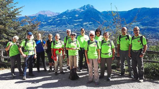 In der Bergwelt Südtirols wanderte eine Gruppe des Schwarzwaldvereins Betzweiler-Wälde, hier auf dem Weg von Töll nach Lana.  Foto: Borm Foto: Schwarzwälder Bote
