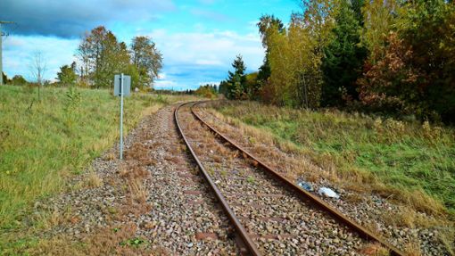 Der Unterhalt der Bahnstrecke Schömberg-Balingen ist teuer. Nun sollen sich die Kommunen finanziell stärker einbringen. Foto: Marschal