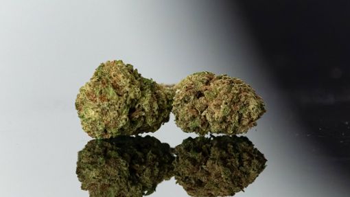 Marihuanablüten sind häufig mit HHC besprüht. So kann die Substanz geraucht werden. Foto: IMAGO/NurPhoto/IMAGO/Samuel Boivin