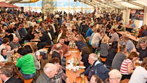 Musikverein Wiesenstetten lädt wieder zum großen Maifest ein