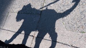 Schäferhündin beißt Terrier und Frauchen in Gammertingen