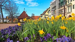 Wetter rund um Freudenstadt: März zeigt sich an fast  allen Tagen zu warm