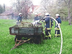 Rasch bringt die Böhringer Feuerwehr den Hänger-Brand unter Kontrolle Foto: Feuerwehr