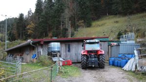 Obwohl viel darüber diskutiert wurde, steht der kommunale Schafstall in Kirnbach mit 320 000 Euro im Finanzhaushalt der Stadt. Foto: Springmann