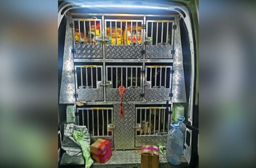 Das Fahrzeug, dass die Beamten am Freitag kontrollierten, enthielt insgesamt 32 Metall-Boxen – in einer lag ein toter Hund. Die noch lebenden Tiere beschlagnahmte das Veterinäramt. Foto: Polizei