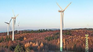 Ettenheimer Windpark soll Ende 2024 gebaut werden