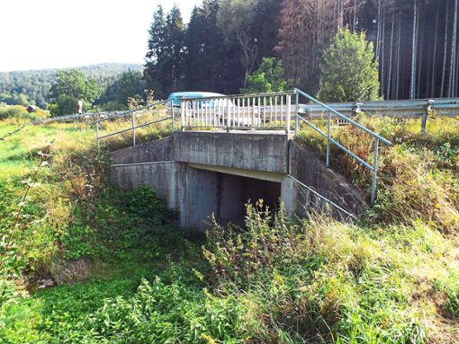 Der Kreistag hat Anfang Juni beschlossen, dass die marode Brücke übe den Keinbach zwischen Erlaheim und Gruol für 470 000 Euro saniert wird. Dafür gibt es jetzt Geld vom Land. Foto: Schnurr Foto: Schwarzwälder Bote