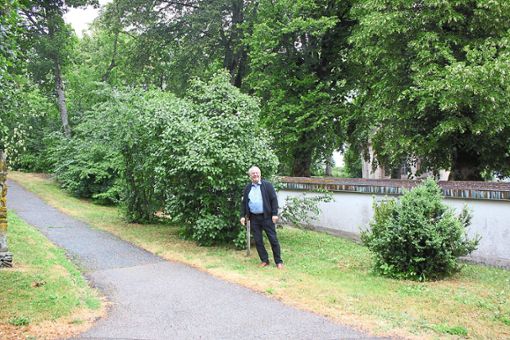 Werner Adrion bevorzugt den Standort einer Aussegungshalle hier an der Friedhofsmauer. So könnte  diese eine gute Verbindung zwischen dem Friedhof (rechts) und dem geplanten Friedpark (links) sein.    Foto:  Bächle Foto: Schwarzwälder Bote