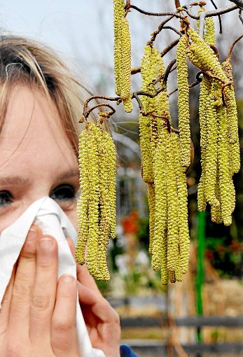 Immunsystem auf Abwegen: Immer mehr Menschen auf der Zollernalb leiden unter Pollenallergie, wie die AOK mitteilt. Foto: Seeger