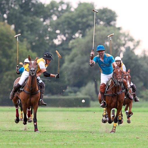 Im Juli werden in Donaueschingen die Polo-Spieler um Medaillen kämpfen. Foto: Schwarzwälder Bote