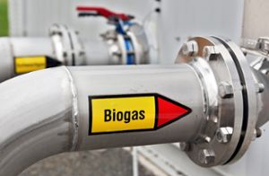 Mit seiner Biogasanlage hat Franz Fehrenbacher noch einiges vor. Foto: Woitas Foto: Schwarzwälder-Bote