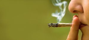 Der überwiegende Teil der 2017 bearbeitenden Delikte im Bereich Rauschgift im Präsidium Tuttlingen ist auf Cannabis-Produkte zurückzuführen. Foto: © ststoev  – stock.adobe.com