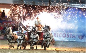 Ein wahres Feuerwerk soll auch beim 21. Umlauf des Festes der Pferde auf den Immenhöfen bei Donaueschingen abgebrannt werden.  Foto: Müller
