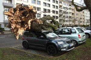Ein umgekippter Baum liegt auf drei Autos auf der Düsseldorfer Cecillienallee. Zwei Stürme haben am Wochenende in NRW für Probleme gesorgt und Bäume entwurzelt.  Foto: dpa