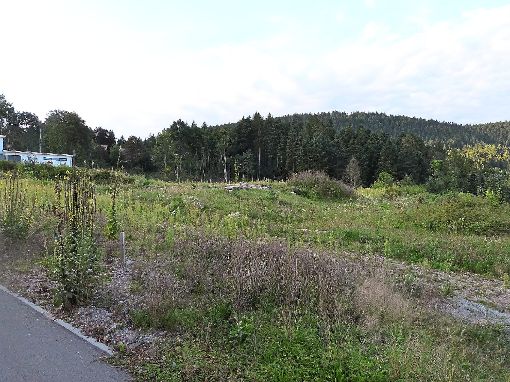 Auf dieser Fläche verkaufen Stadt Alpirsbach und DJH-Landesverband Bauplätze. Links ist das erste bebaute Grundstück zu sehen. Foto: Werthenbach Foto: Schwarzwälder-Bote