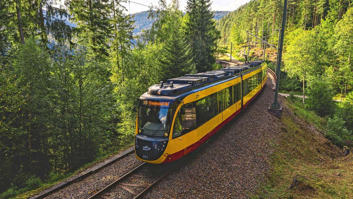 Züge von Freudenstadt nach Eutingen: Bahnverbindung bald unterbrochen: Das müssen Pendler jetzt beachten