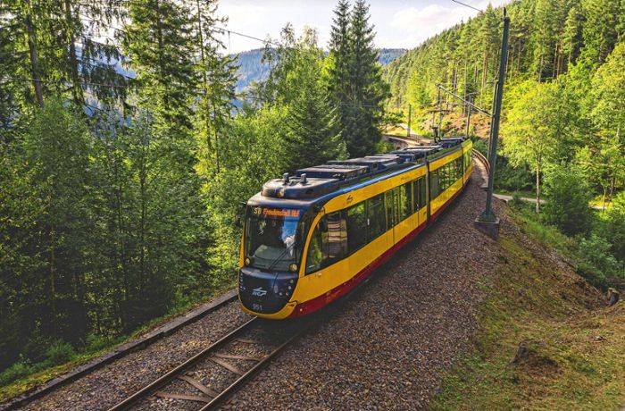 Züge von Freudenstadt nach Eutingen: Bahnverbindung bald unterbrochen: Das müssen Pendler jetzt beachten