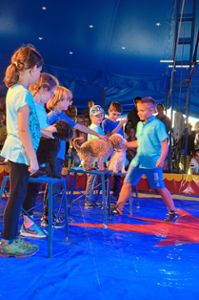 Zum Abschluss eines einwöchigen Workshops zeigten 100 Kinder aus Calw und Umgebung Zirkuskunststücke.  Fotos: Bausch Foto: Schwarzwälder Bote