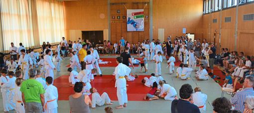 Spannende Kämpfe auf gutem Niveau: Das Spagetti-Turnier des Judoclubs Pfaffenweiler ist ein Magnet für den überregionalen Judo-Nachwuchs. Foto: Zimmermann Foto: Schwarzwälder Bote