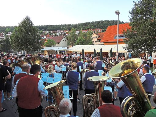 Alle Blasmusiker sind zur Teilnahme am Flashmob in Oberschwandorf aufgerufen. Foto: Verein Foto: Schwarzwälder Bote