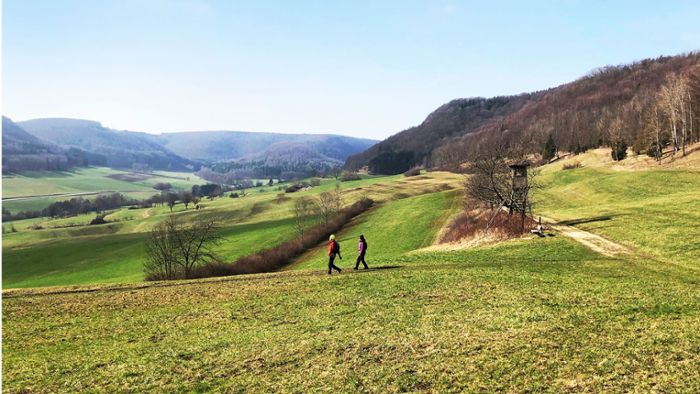 Wandertipps für Baden-Württemberg: Vom Fischbachtal über den Haarberg zum Wasserberg