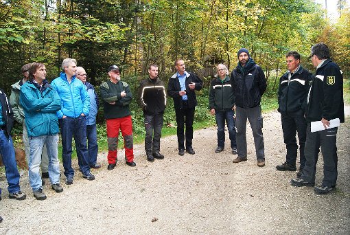 Ein Bild vom Bitzer Forst machten sich die Mitglieder des Gemeinderats bei ihrem Waldbegang. Foto: müb