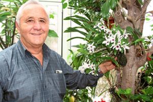 Ernst Späth ist der Orchideenfachmann in der Region. Er freut sich darauf, bald wieder bei der Orchideenausstellung  im Gartencenter Späth Tipps und Tricks weitergeben zu können und viele alte Bekannte zu treffen.    Foto: Preuß Foto: Schwarzwälder Bote