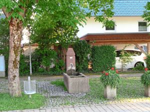 Auch der Brunnen in der Edelmannstraße wird ehrenamtlich gepflegt. Foto: Fechter Foto: Schwarzwälder Bote