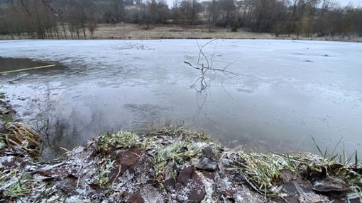 Die Oberfläche des Gültlinger Sees gefriert im Winter immer wieder. Auf das Eis sollten sich Besucher allerdings auf keinen Fall wagen. Die Gefahr einzubrechen ist zu groß. Foto: Menzler