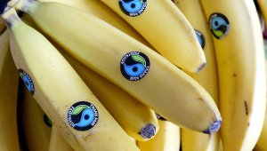 Stadt plant Fairtrade-Einkaufsführer