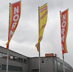 Das Norma-Areal in Eutingen. Werden die Flaggen eines Tages bei Ahldorf flattern? Foto: Hopp
