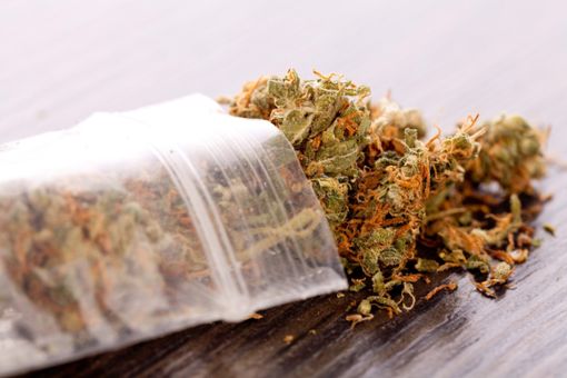 Der Mann soll 7,5 Kilogramm Marihuana gewinnbringend weiterverkauft haben. (Symbolfoto) Foto: juniart_stock.adobe.com