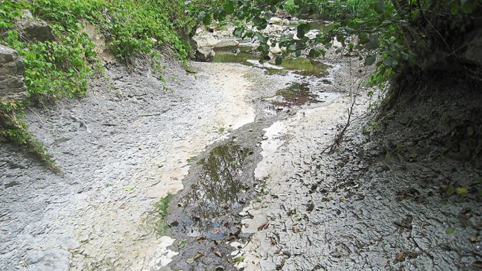 Bäche und Flüsse mit kritischem Pegel