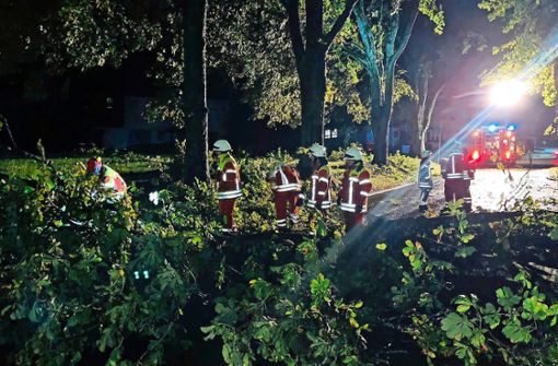 Rund 20 Einsätze hatte die Geislinger Feuerwehr in der Sturmnacht – beispielsweise in der Alleenstraße. Foto: Schmid