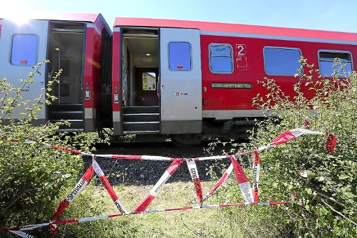 Ein Zug ist am Dienstag auf der Bahnstrecke bei Sigmaringen gegen eine zwölf Meter lange Tanne geprallt, die wohl bei Baumfällarbeiten auf die Gleise gestürzt war. Verletzt wurde niemand. Die Fahrgäste mussten auf Busse umsteigen. (Symbolfoto) Foto: Schwarzwälder-Bote