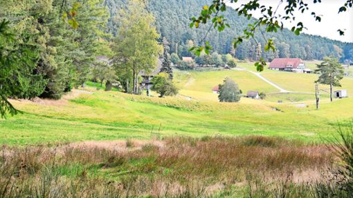 Im Sulzbachtal sollen Biotope aufgewertet und ausgebaut werden. Foto: Dold