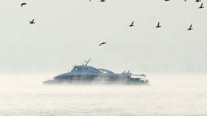 Bodensee-Katamaran muss im Hafen bleiben